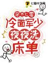 穿书七零:冷面军少夜夜洗床单